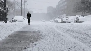 Днем 1 марта в Рязанской области МЧС предупредило о метели