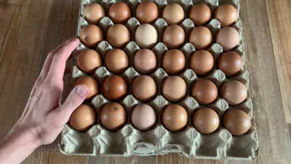 Купил яйца на рынке и в «Пятёрочке» у дома — сравнил дома и опупел: можно ли отличить их на самом деле?