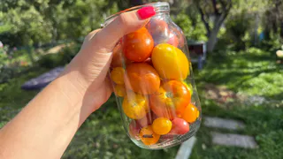 Помидоры на зиму «Сладкие»: рассол исчезает быстрее, чем съедаются помидоры — простой рецепт, который все любят