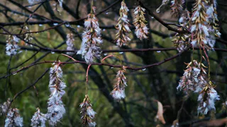 Циклон надвигается на Челябинскую область: дожди и похолодание