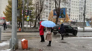 Циклон "Мартина" принесет штормовой ветер в Челябинскую область