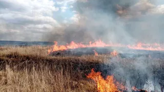В Чувашии уже начала гореть сухая трава