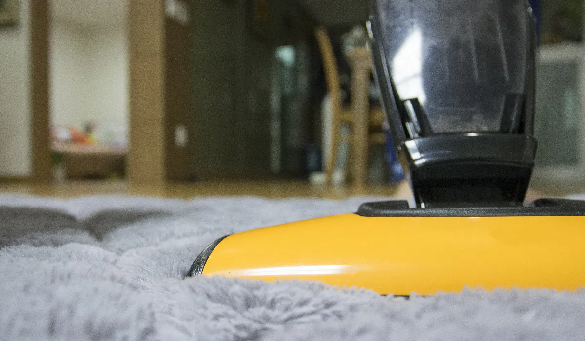 Эффективные советы по чистке ковров от эксперта