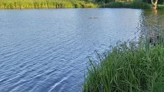 СК проводит проверку по факту гибели двухлетнего ребёнка в Захаровском районе