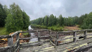 В Коми власти и бизнес объединились для очистки Сысолы