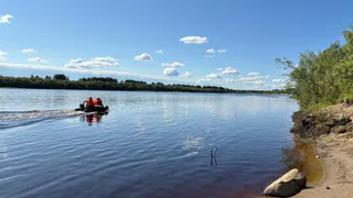 Экологи бьют тревогу: еще одна рыба может пополнить Красную книгу Коми