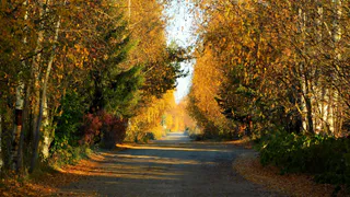 Какой будет погода в октябре 2025 в Росси: прогноз синоптиков