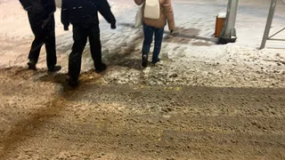 Выступающих против застройки территории экологического парка челябинцев едва не забрала полиция