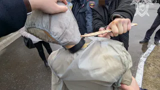 В Чувашии собака помогла арестовать нападавшего с ножом