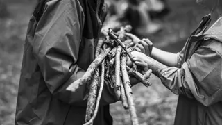 По группе крови можно понять были ли ваши предки бедными крестьянами