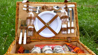 Веганы зовут на пикник в Центральный парк