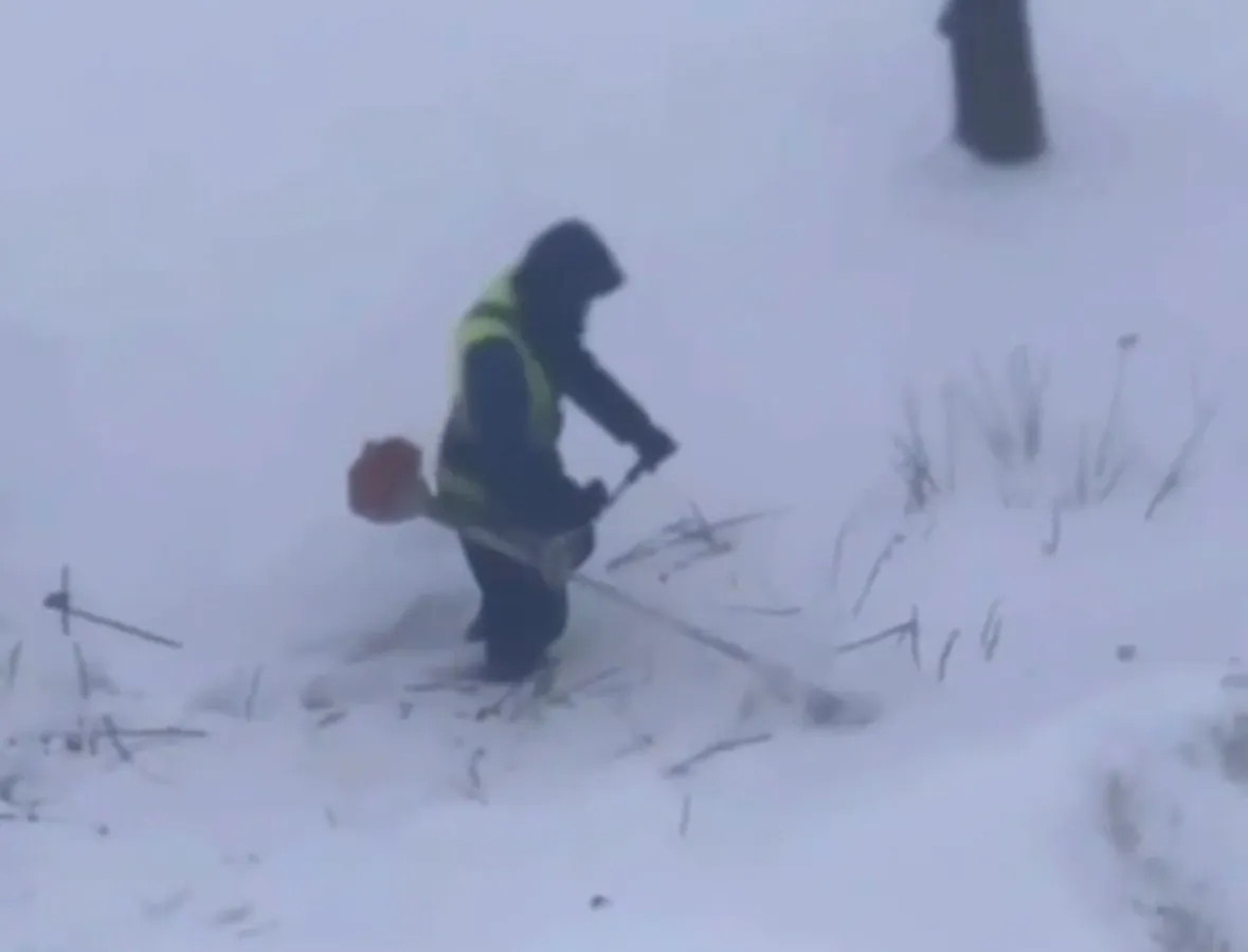 В Пензе зимой коммунальщики косят траву вместо того, чтобы чистить снег