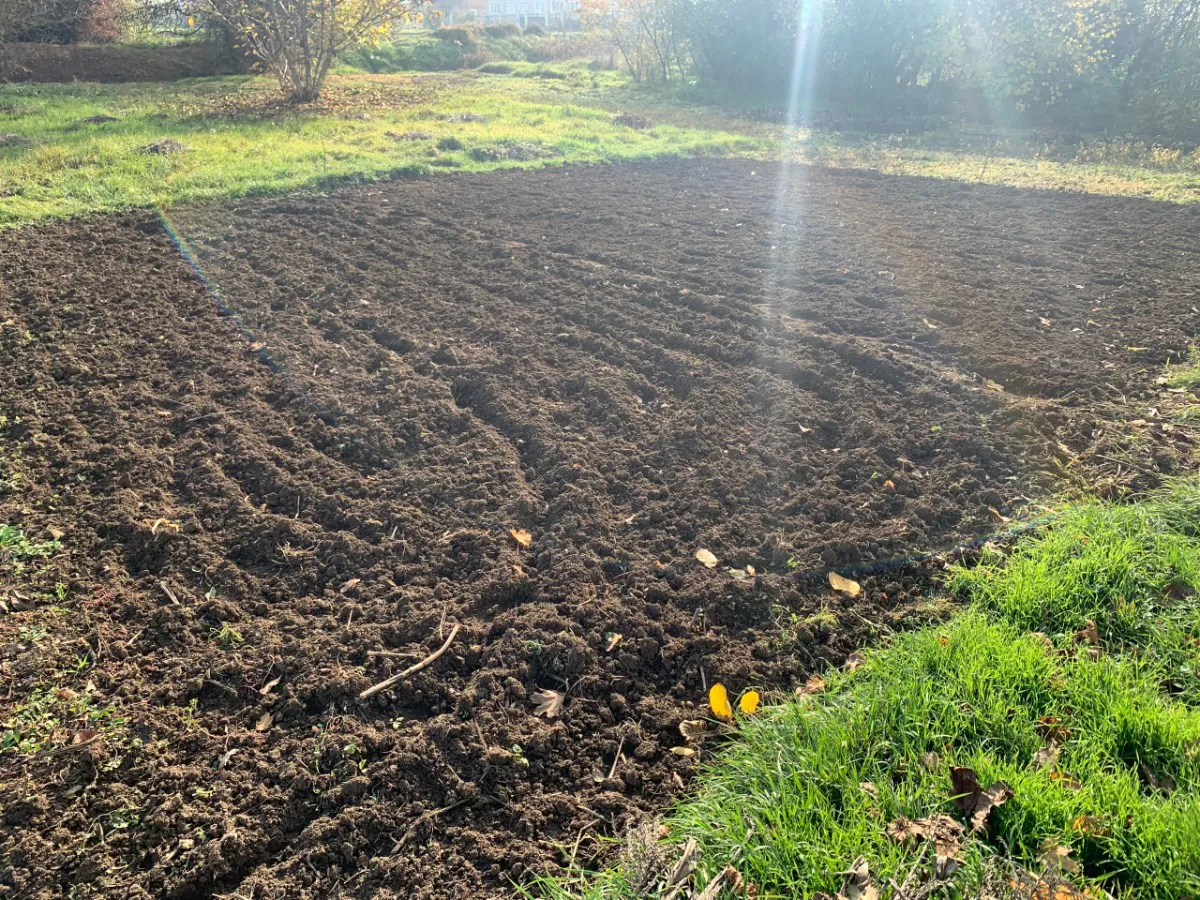 Аграриев Пензенской области соберут на крупный форум 29 января