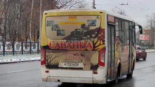 Жительница Рязани пожаловалась на хамство водителя маршрутки №53