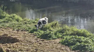 Грядет самое аномальное лето за последние 200 лет: метеорологи рассказали, что произойдет с погодой