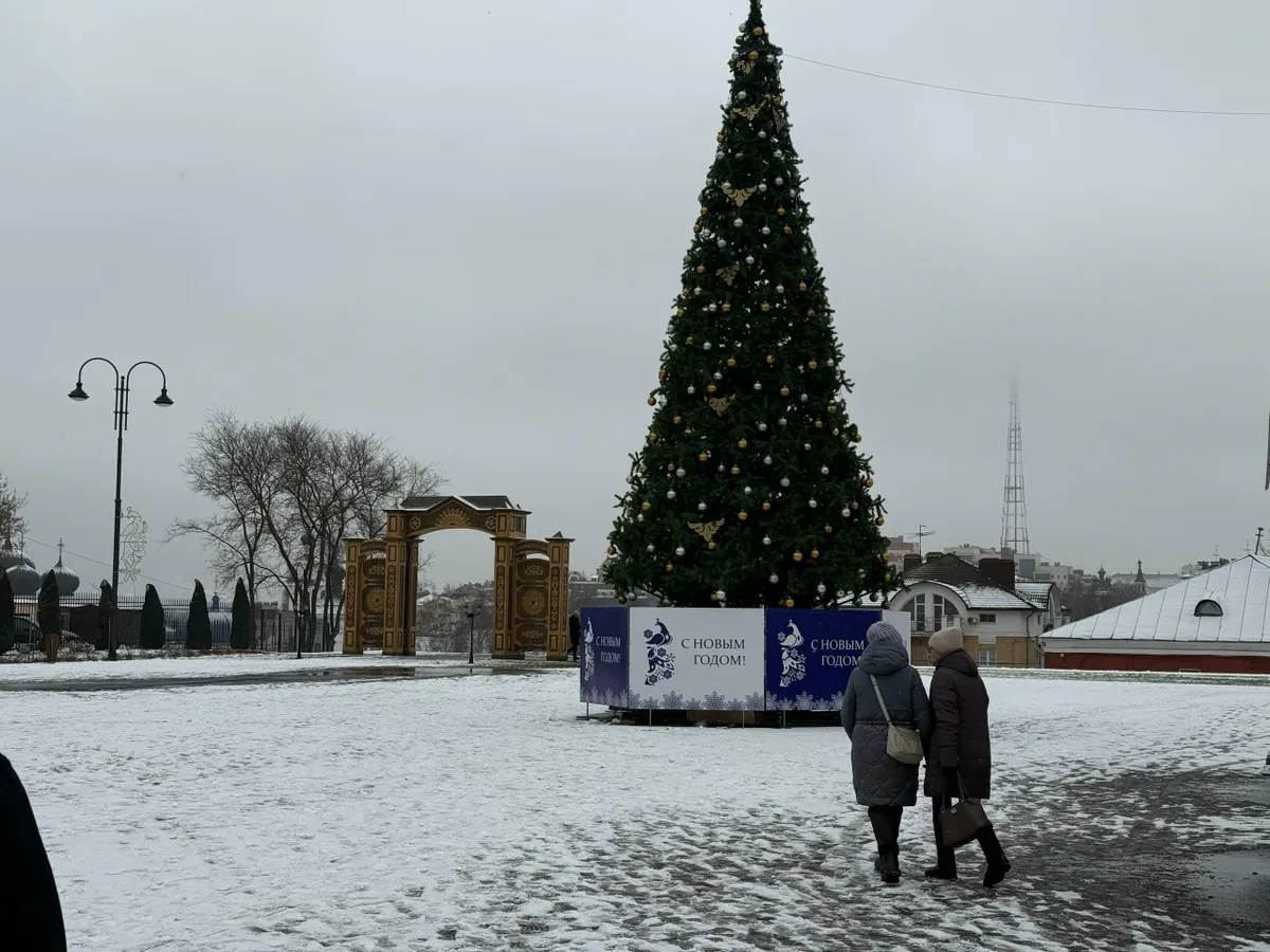 Нижнекамцам напомнили о штрафах за срубленную ёлку
