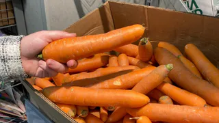 Овощ, который вредит вашим почкам: в Европе его больше не едят, а в России по-прежнему очень любят