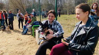 В рязанском Мехзаводе появится площадка для выгула собак