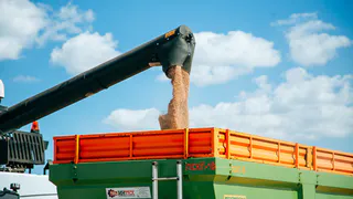 В Чувашии на 1,4% увеличилось число сельскохозяйственных предпринимателей