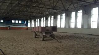 Рязанцы подписывают петицию в поддержку регионального коневодства