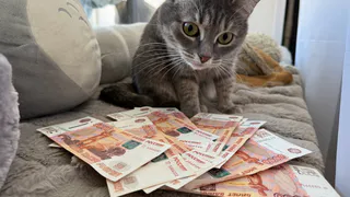 Хватит на хлеб с икрой и новый телевизор: объявлены категории пенсионеров, которым положено по 80 тысяч рублей