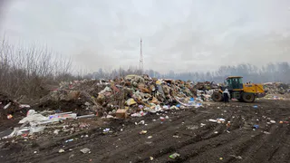 Природоохранная прокуратура добивается ликвидации очередной свалки в Муроме