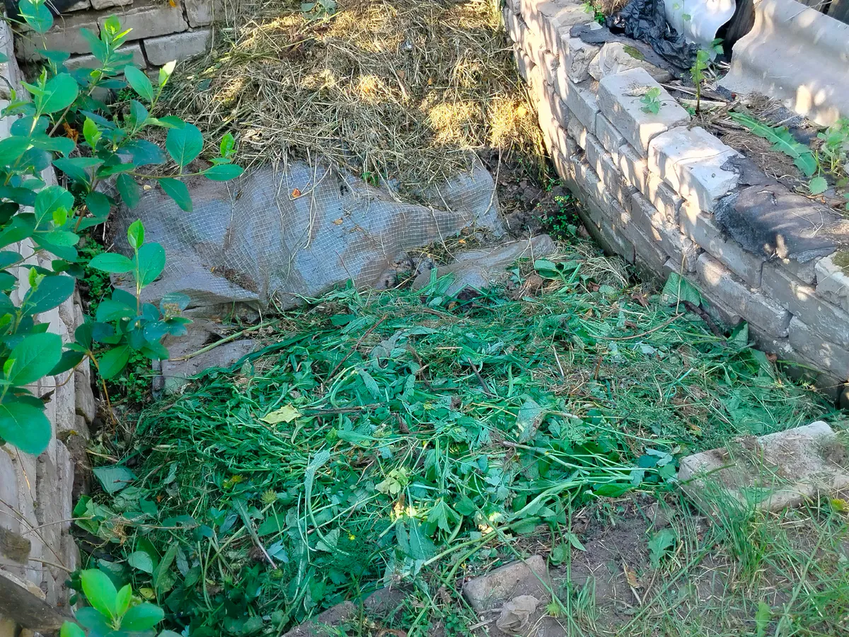 Ускоритель компоста, о котором вы не знали: 2 ложки дешевого средства, и перегной готовится в разы быстрее