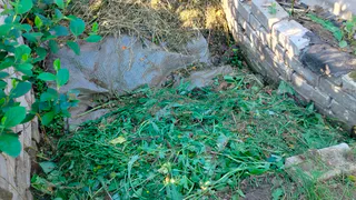 Ускоритель компоста, о котором вы не знали: 2 ложки дешевого средства, и перегной готовится в разы быстрее