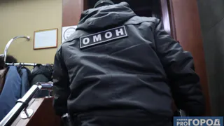 СК в Коми завершил расследование убийства молодой матери из-за запаха еды