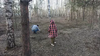 Весной в Рязанской области планируется посадка леса на площади около 30 гектаров