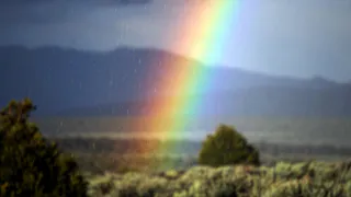 Прогноз погоды: в воскресенье в Рязани будет тепло, но дождливо