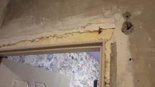 В Коми суд обязал жителя квартиры избавиться от клопов и тараканов