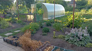 Соседи остановились у забора, когда увидели мой участок: 5 идей из пней и ящиков, которые легко повторить