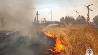 В Рязанской области озвучили ситуацию с пожарами на заседании кабмина