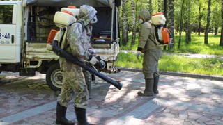 В Рязани проводится массовая обработка парков от клещей