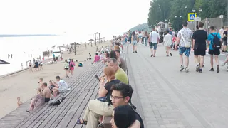 Выйдут на белую полосу: Тамара Глоба назвала три знака, которые будут жить как в раю