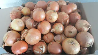 Благодаря этой хитрости лук будет идеально храниться всю зиму