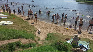 44 пляжа, 5 из них в Рязани: полный список мест для купания и правила, которые спасут жизнь
