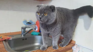 С 9 апреля полностью будут запрещены раковина и кран: их придется заменить