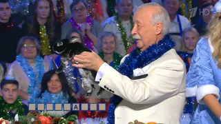 Жительница Коми подарила Леониду Якубовичу черного кролика