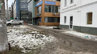 Аномальная жара нагрянет в январе: синоптики сообщают о сюрпризах, которые готовит зима с 1 числа