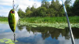  Наловили: 8 браконьеров было поймано в ходе операции "Нерест"