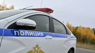 В Пензенской области задержали курьера-закладчика с 2 кг мефедрона