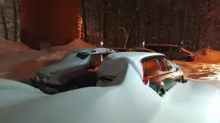 «Сидим в снежном плену»: житель Дубового просит губернатора срочно помочь с расчисткой