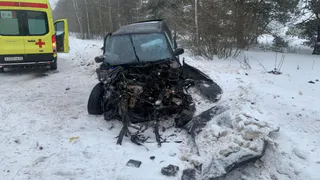 Во Владимирской области в ДТП пострадали 3 ребенка
