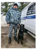 Немецкая овчарка Тундра привела полицейских к дому грабителя в Казани