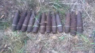 Арсенал артиллерийских снарядов обнаружен в лесу у Сельцо