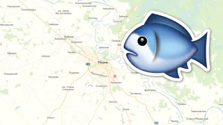 Карта с душком: на каких улицах Рязани из кранов льется "рыбная" вода