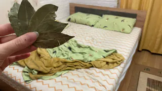 Кладу лавровый лист под подушку и наслаждаюсь эффектом: совет от бабушки, который стоит запомнить навсегда