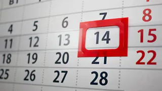 Брянские СМИ запутались с выходными из-за Дня города 17 сентября